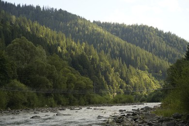 Photo of Beautiful view of river and forest in mountains