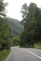 Beautiful view of green trees and asphalt road in mountains