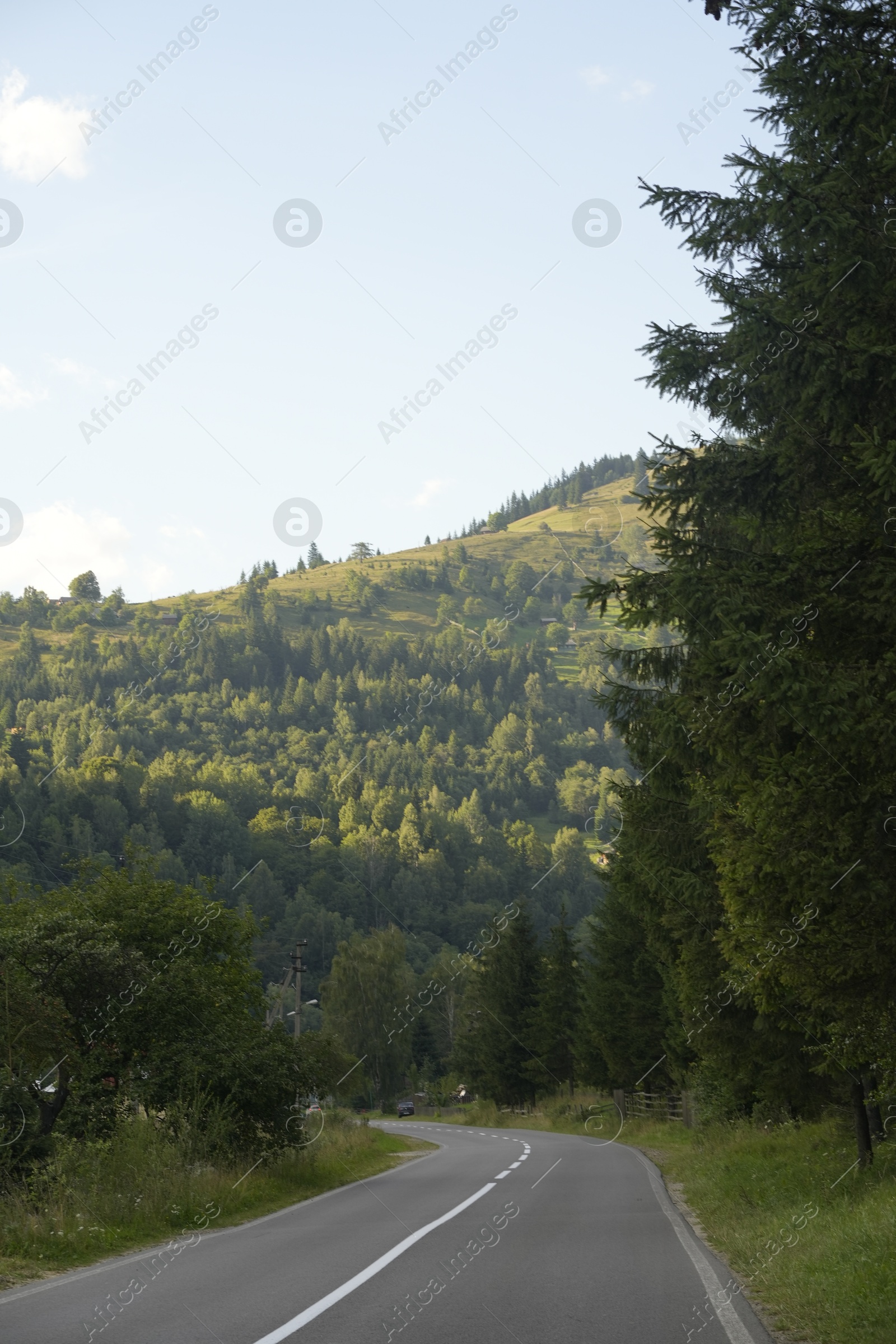 Photo of Beautiful view of green trees and asphalt road in mountains