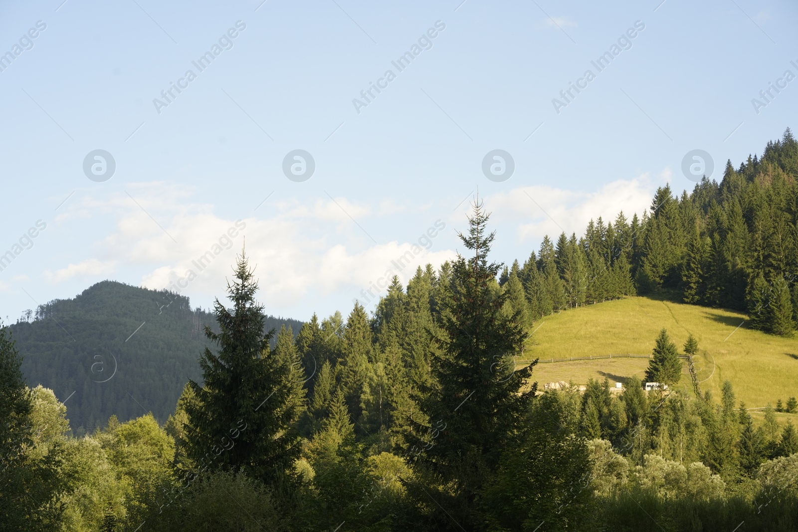 Photo of Picturesque view of forest in mountains under sky