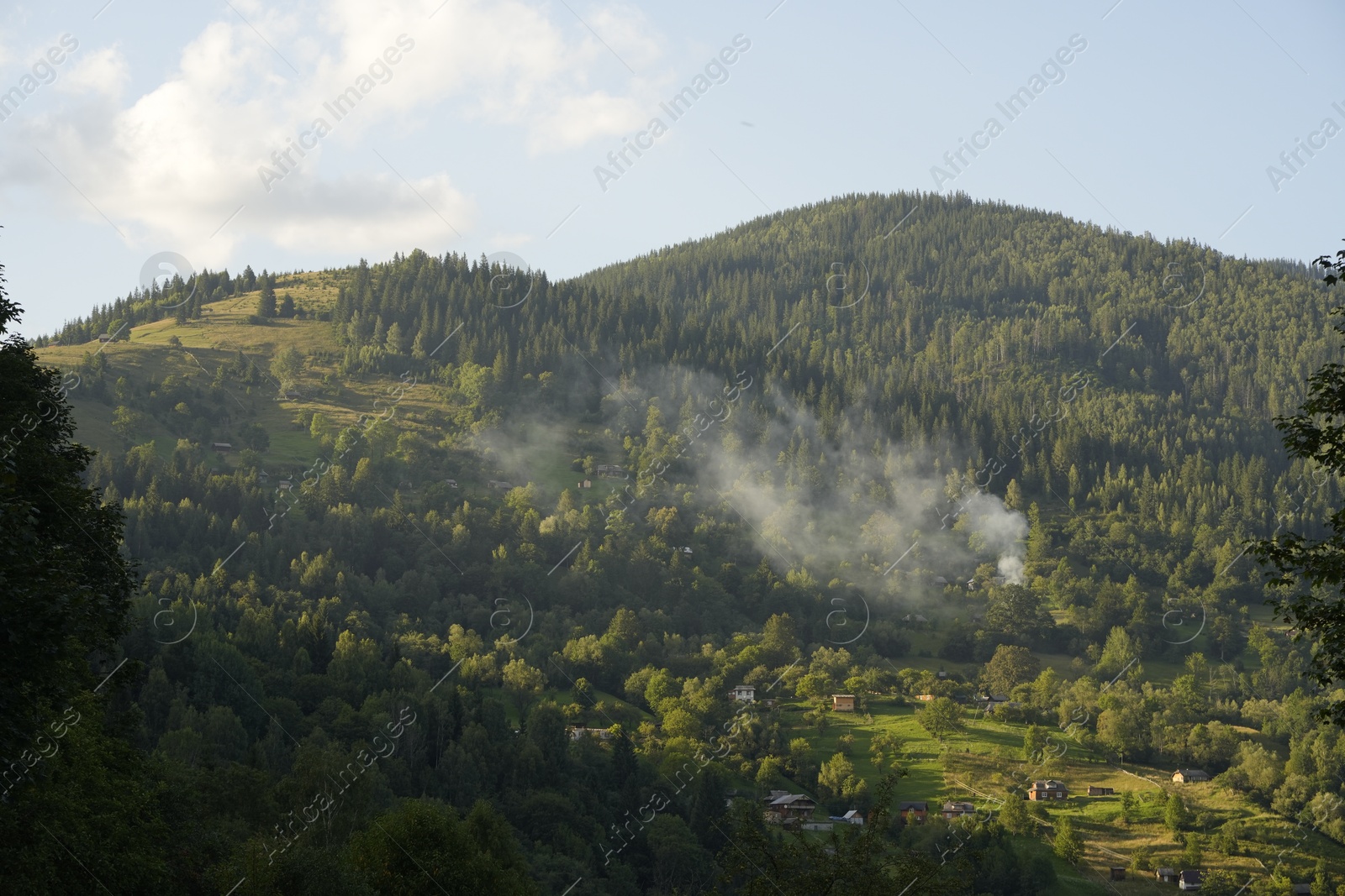 Photo of Picturesque view of mountain village and forest