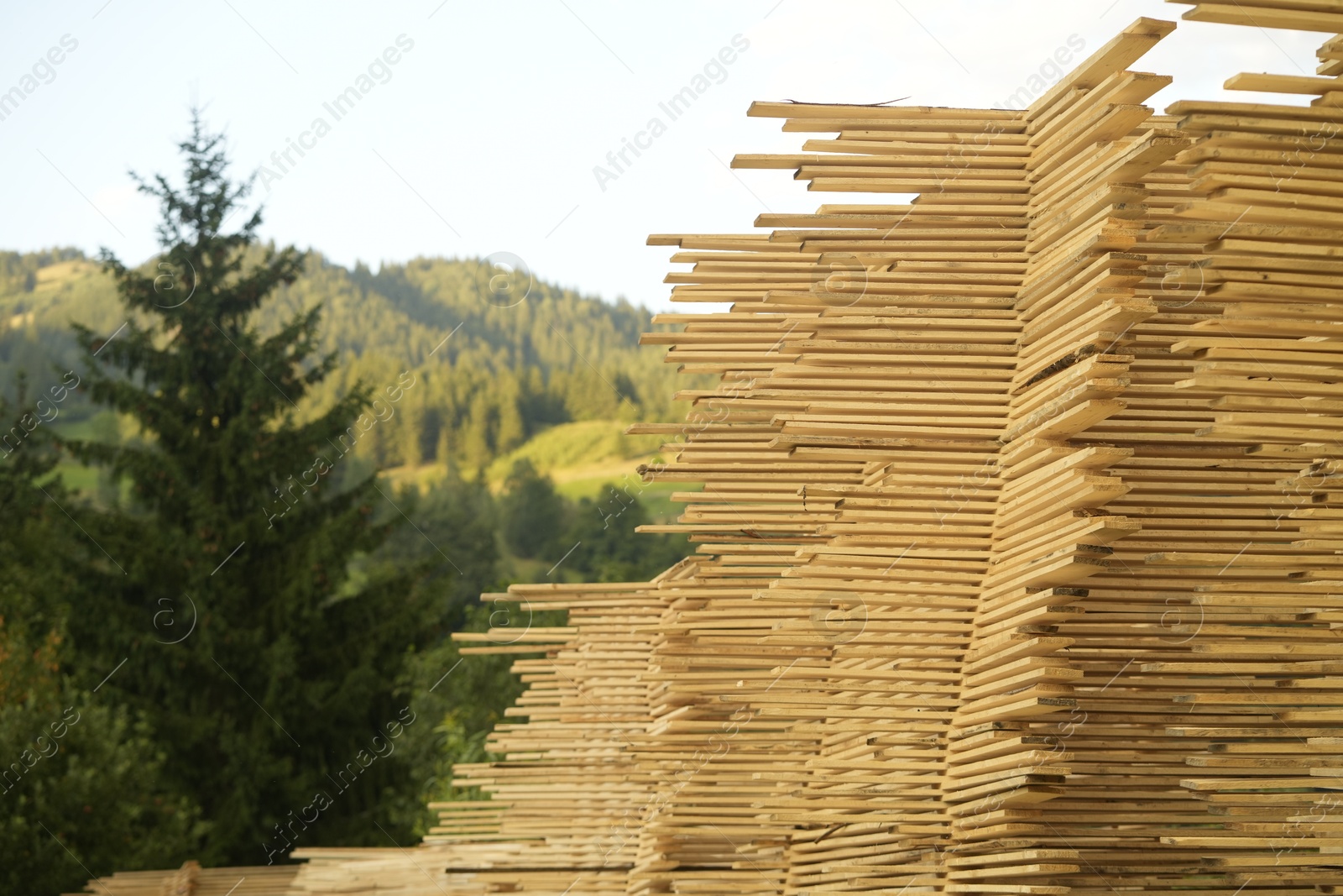 Photo of Stacks of many wooden planks in mountains