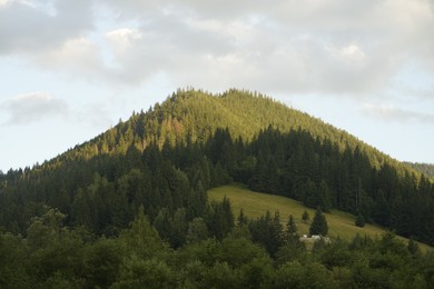 Photo of Picturesque view of forest in mountains under sky