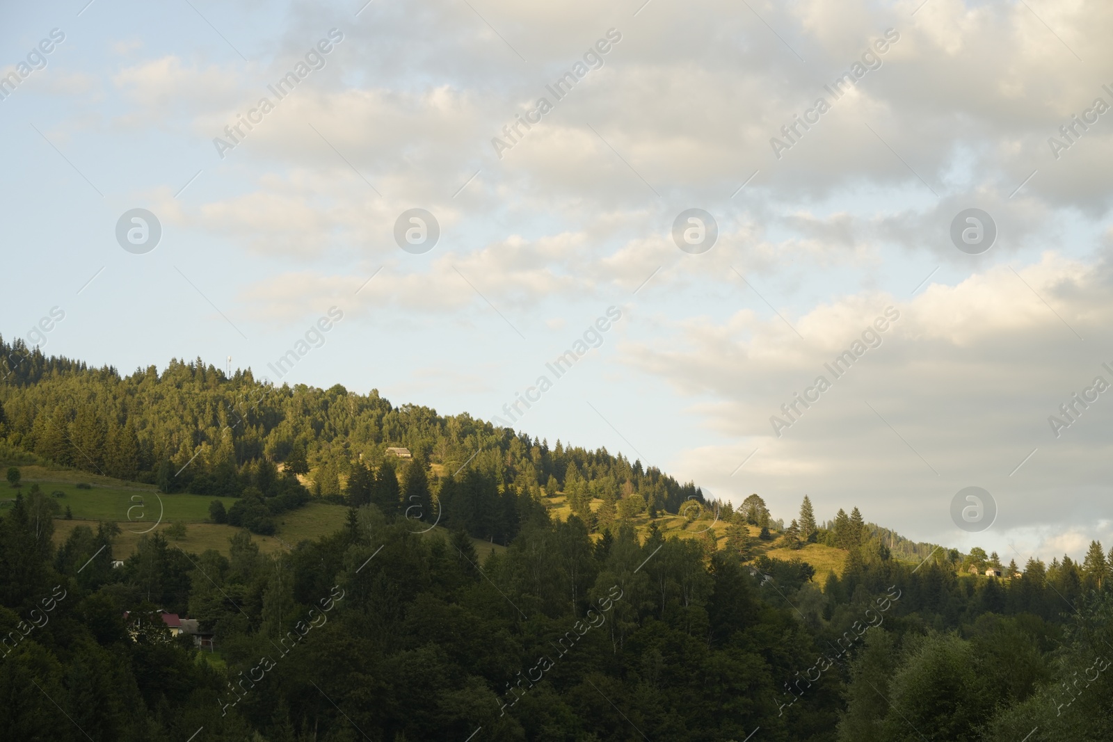 Photo of Picturesque view of forest in mountains under sky