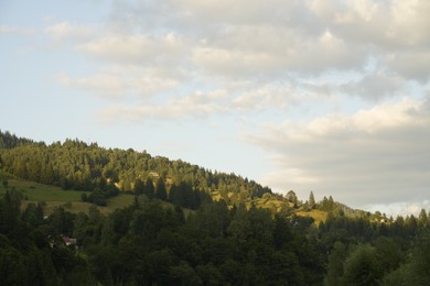 Photo of Picturesque view of forest in mountains under sky