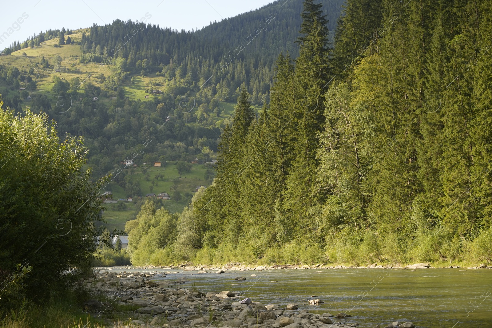 Photo of Beautiful view of river and forest in mountains