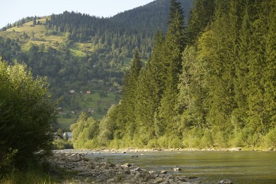 Photo of Beautiful view of river and forest in mountains