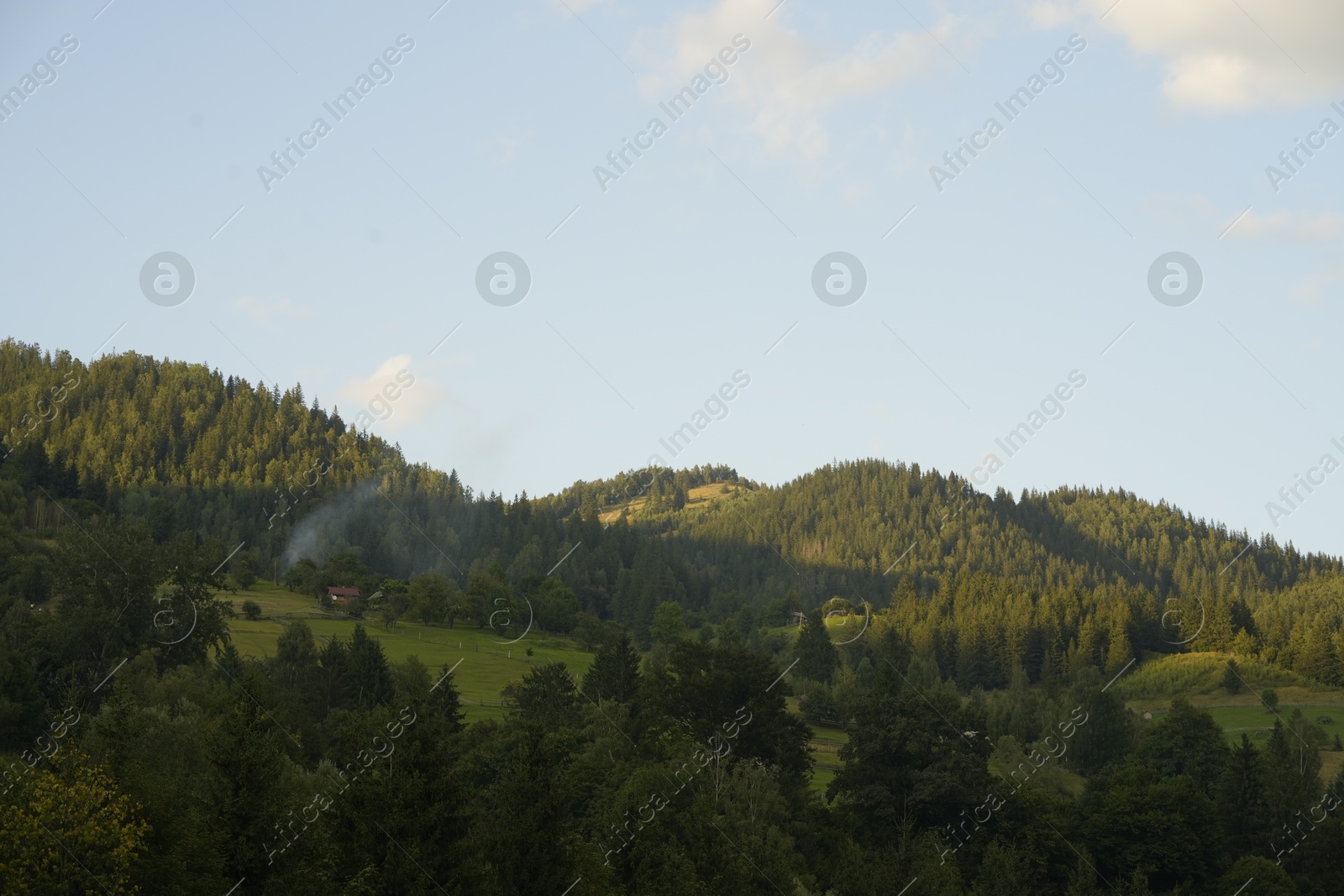 Photo of Picturesque view of forest in mountains under sky