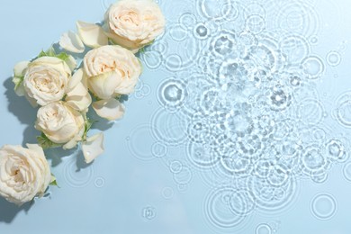 Beautiful rose flowers in water on light blue background, top view. Space for text