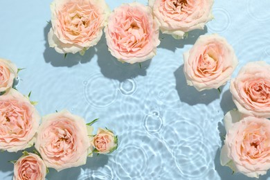 Photo of Beautiful rose flowers in water on light blue background, top view