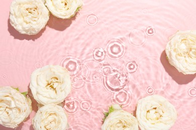 Beautiful rose flowers in water on pink background, top view. Space for text