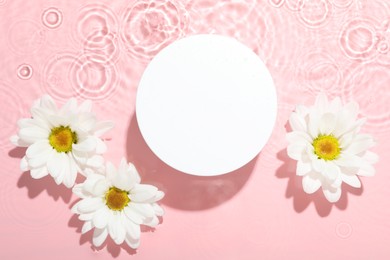 Beautiful daisy flowers and round shaped podium in water on pink background, flat lay