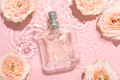 Beautiful rose flowers and perfume bottle in water on pink background, flat lay