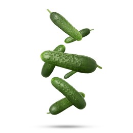 Image of Whole ripe cucumbers falling on white background