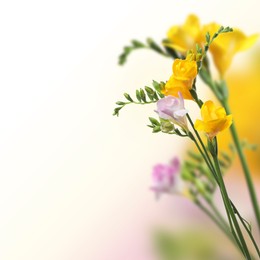 Image of Beautiful freesia flowers on color gradient background, space for text