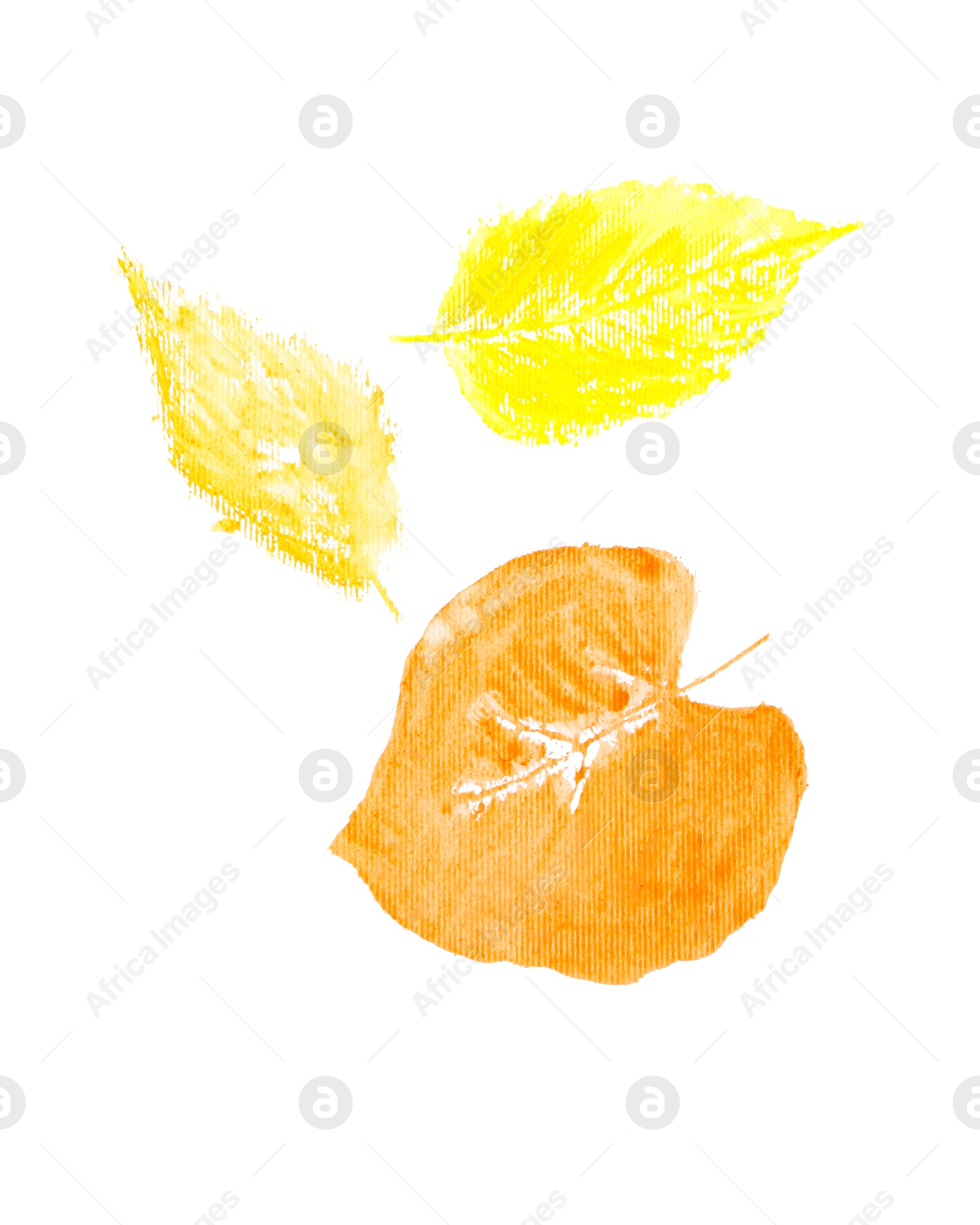 Photo of Watercolor painting of colorful leaves isolated on white