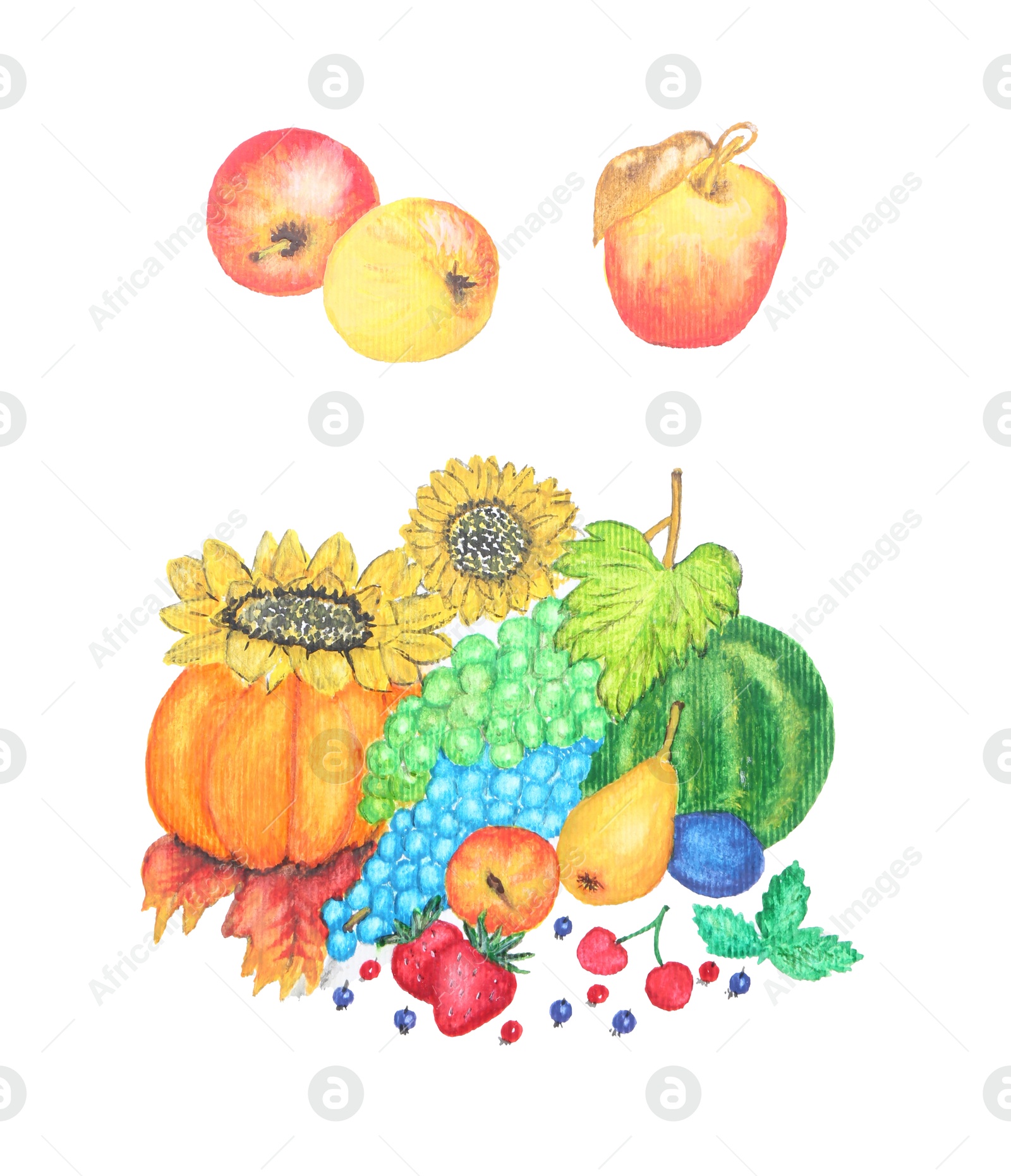 Photo of Watercolor painting of different vegetables, fruits and berries isolated on white