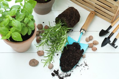 Photo of Transplanting plant. Potted herbs, clay pebbles and gardening tools with soil on white wooden table, flat lay