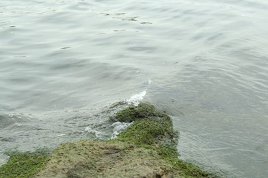 Rock overgrown with moss near river on summer day