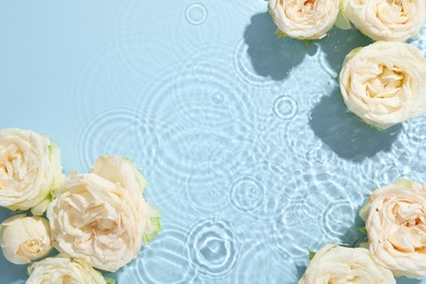 Beautiful rose flowers in water on light blue background, top view. Space for text