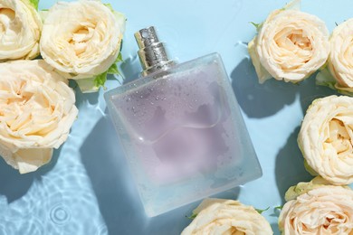 Photo of Beautiful rose flowers and perfume bottle in water on light blue background, flat lay