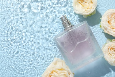 Photo of Beautiful rose flowers and perfume bottle in water on light blue background, flat lay. Space for text