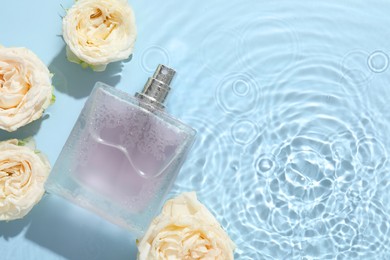 Photo of Beautiful rose flowers and perfume bottle in water on light blue background, flat lay. Space for text