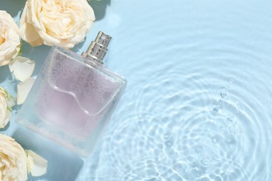 Beautiful rose flowers and perfume bottle in water on light blue background, flat lay. Space for text