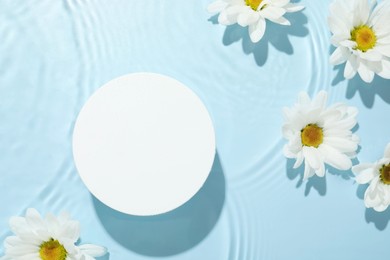 Beautiful daisy flowers and round shaped podium in water on light blue background, flat lay