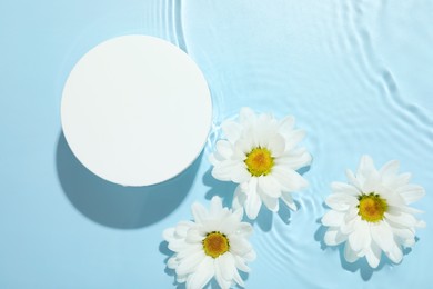 Photo of Beautiful daisy flowers and round shaped podium in water on light blue background, flat lay