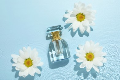 Photo of Beautiful daisy flowers and perfume bottle in water on light blue background, flat lay