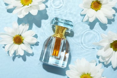 Photo of Beautiful daisy flowers and perfume bottle in water on light blue background, flat lay