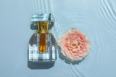 Photo of Beautiful rose flower and perfume bottle in water on light blue background, flat lay