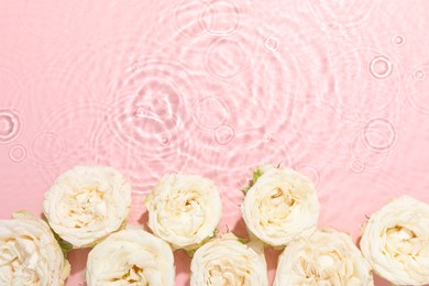 Beautiful rose flowers in water on pink background, top view. Space for text