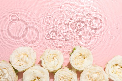 Photo of Beautiful rose flowers in water on pink background, top view. Space for text