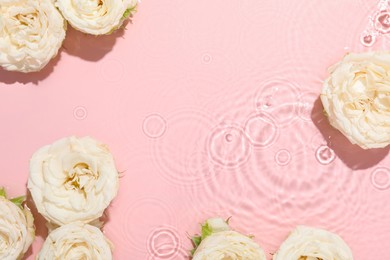 Photo of Beautiful rose flowers in water on pink background, top view. Space for text