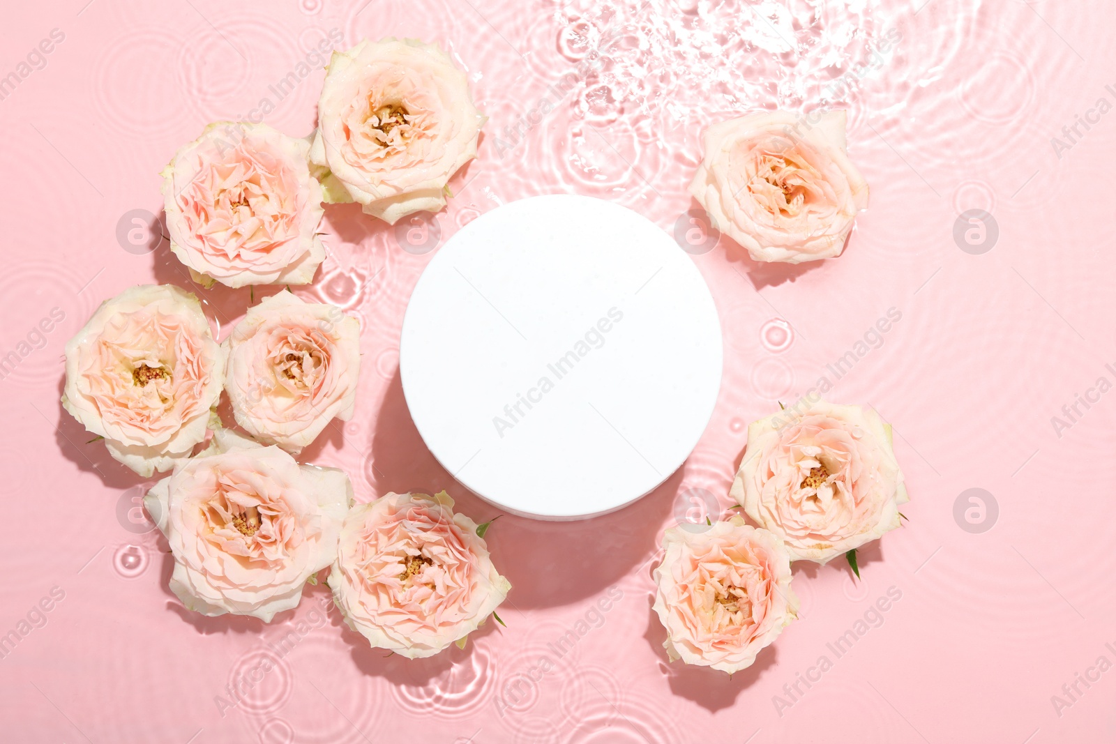 Photo of Beautiful rose flowers and round shaped podium in water on pink background, flat lay