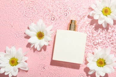 Photo of Beautiful daisy flowers and perfume bottle in water on pink background, flat lay