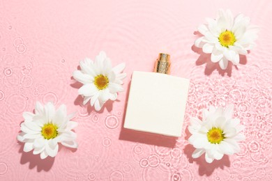 Photo of Beautiful daisy flowers and perfume bottle in water on pink background, flat lay