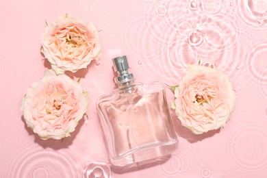 Beautiful rose flowers and perfume bottle in water on pink background, flat lay