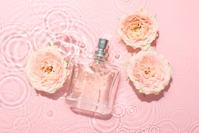 Photo of Beautiful rose flowers and perfume bottle in water on pink background, flat lay