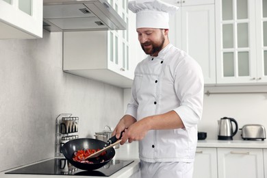 Professional chef cooking delicious food on stove in kitchen