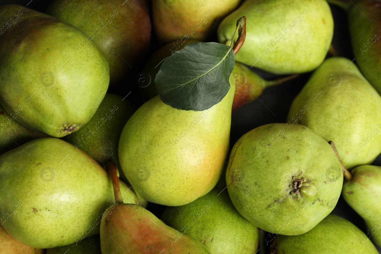 Photo of Many fresh ripe pears as background, top view