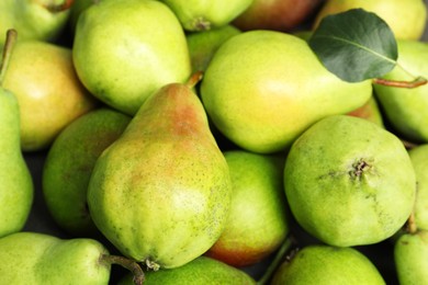 Photo of Many fresh ripe pears as background, closeup