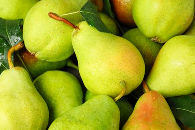 Photo of Many fresh ripe pears as background, closeup