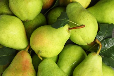 Photo of Many fresh ripe pears as background, top view