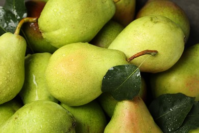 Photo of Many fresh ripe pears as background, closeup