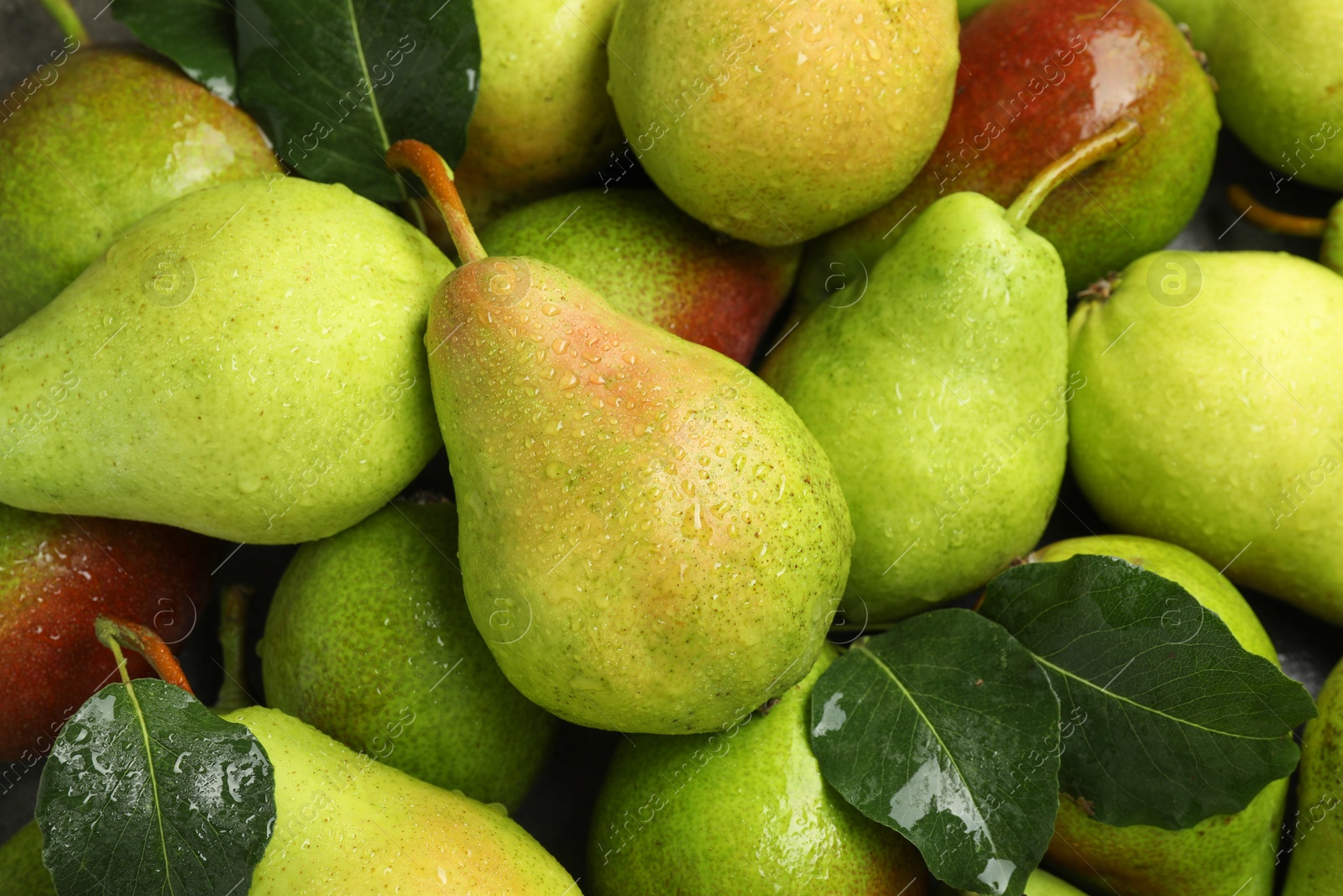 Photo of Many fresh ripe pears as background, top view