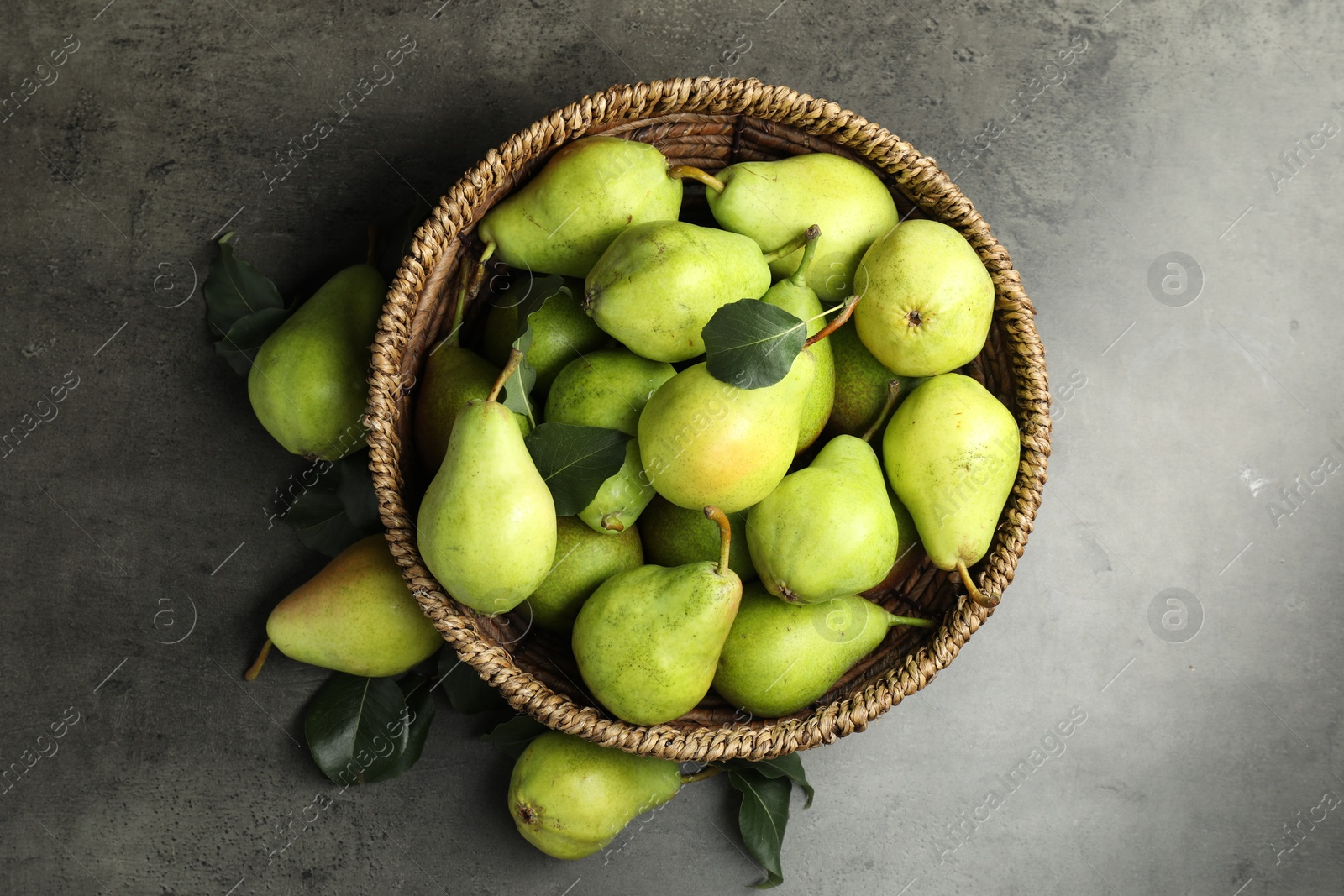 Photo of Many fresh ripe pears on grey table, top view