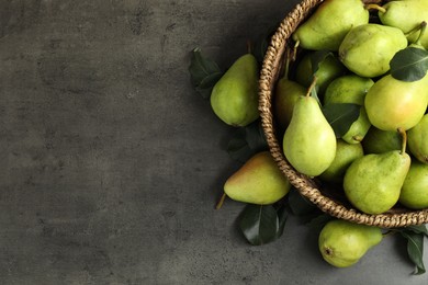 Photo of Many fresh ripe pears on grey table, top view. Space for text